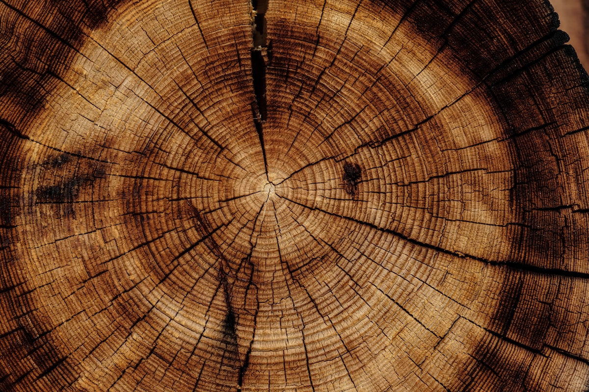 sustainable teak